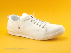 Achat chaussures Andrea Conti Femme Basket, vente Andrea Conti 0345724 White  - Basket basse Femme cuir blanc