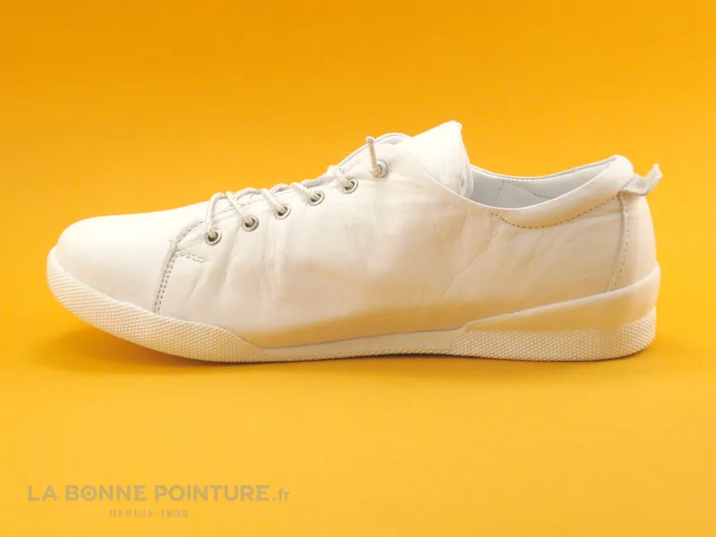 Achat chaussures Andrea Conti Femme Basket, vente Andrea Conti 0345724 White  - Basket basse Femme cuir blanc