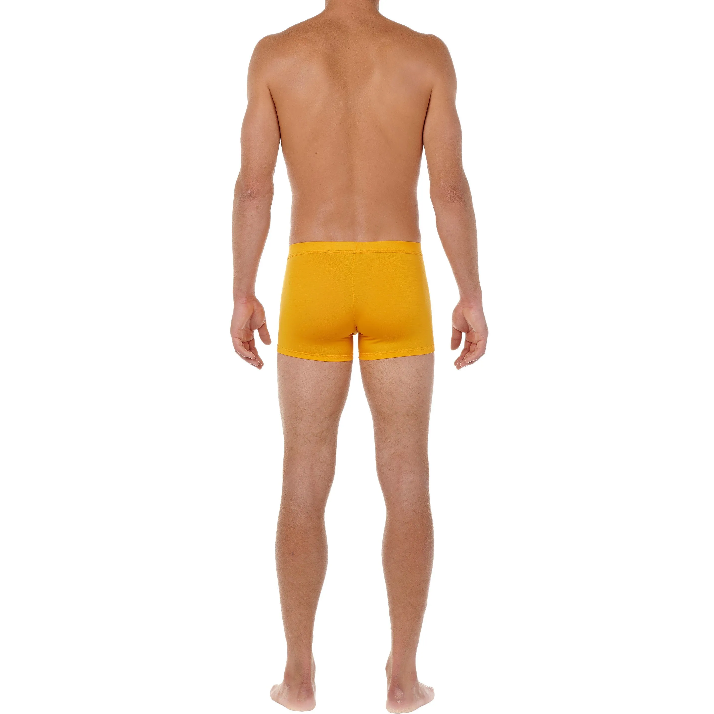 Boxer comfort HO1 Tencel Soft - ginger - HOM : vente shorty boxers ...