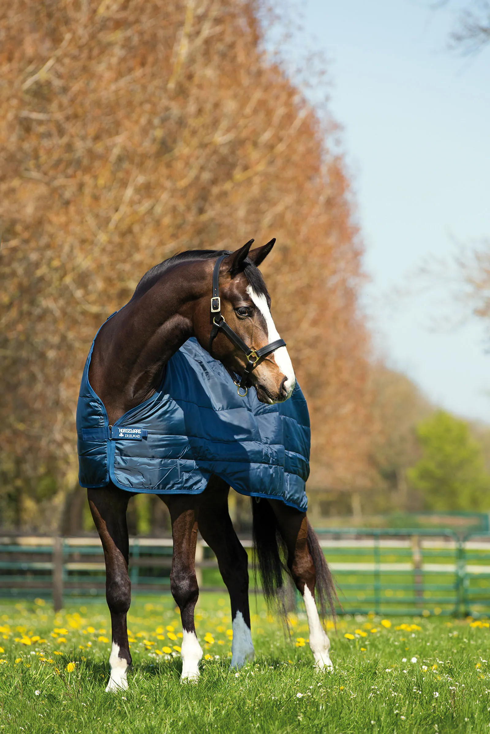 Horseware Sous-couverture , 100 g