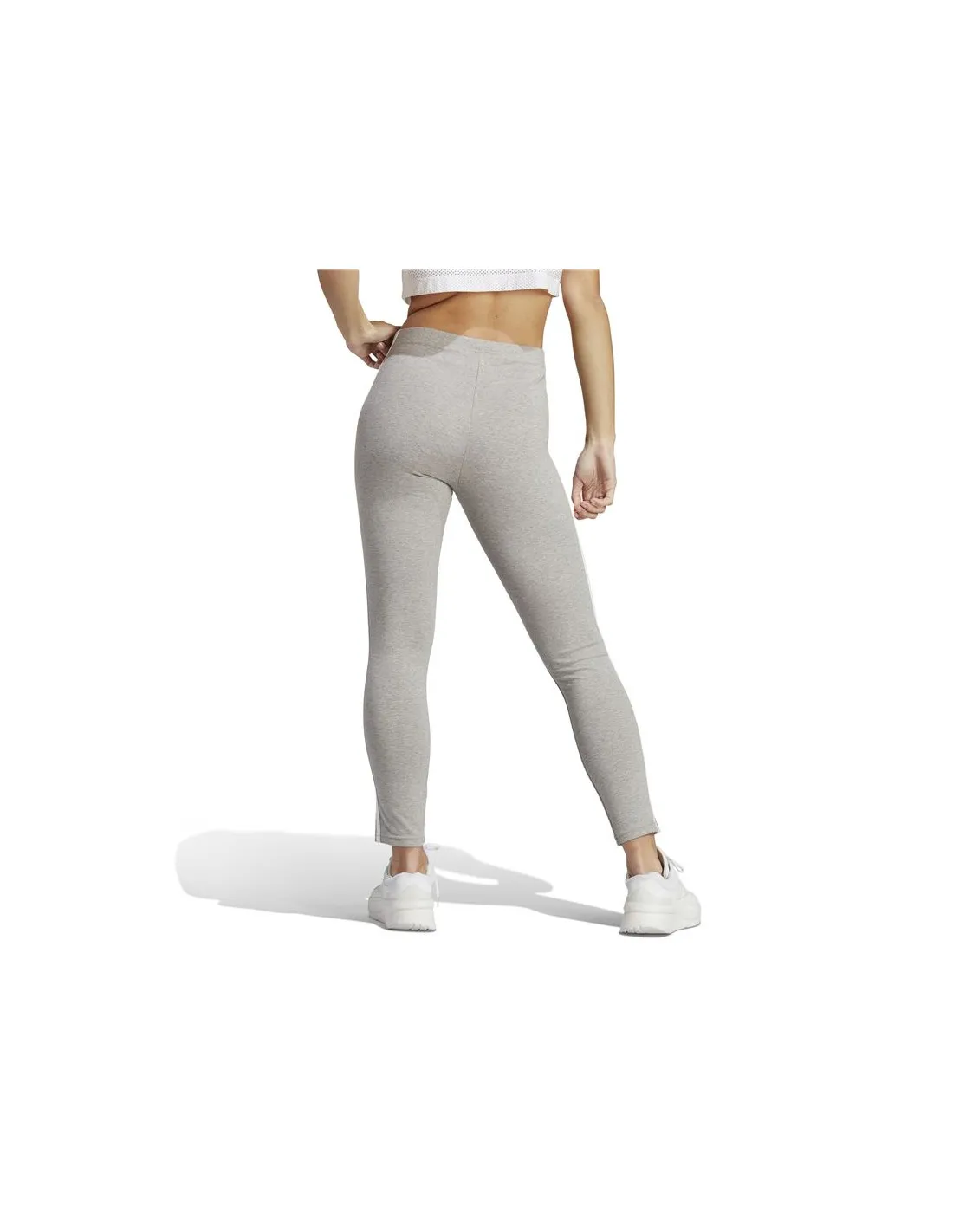 Leggings adidas 3S Hw Lg Femmes