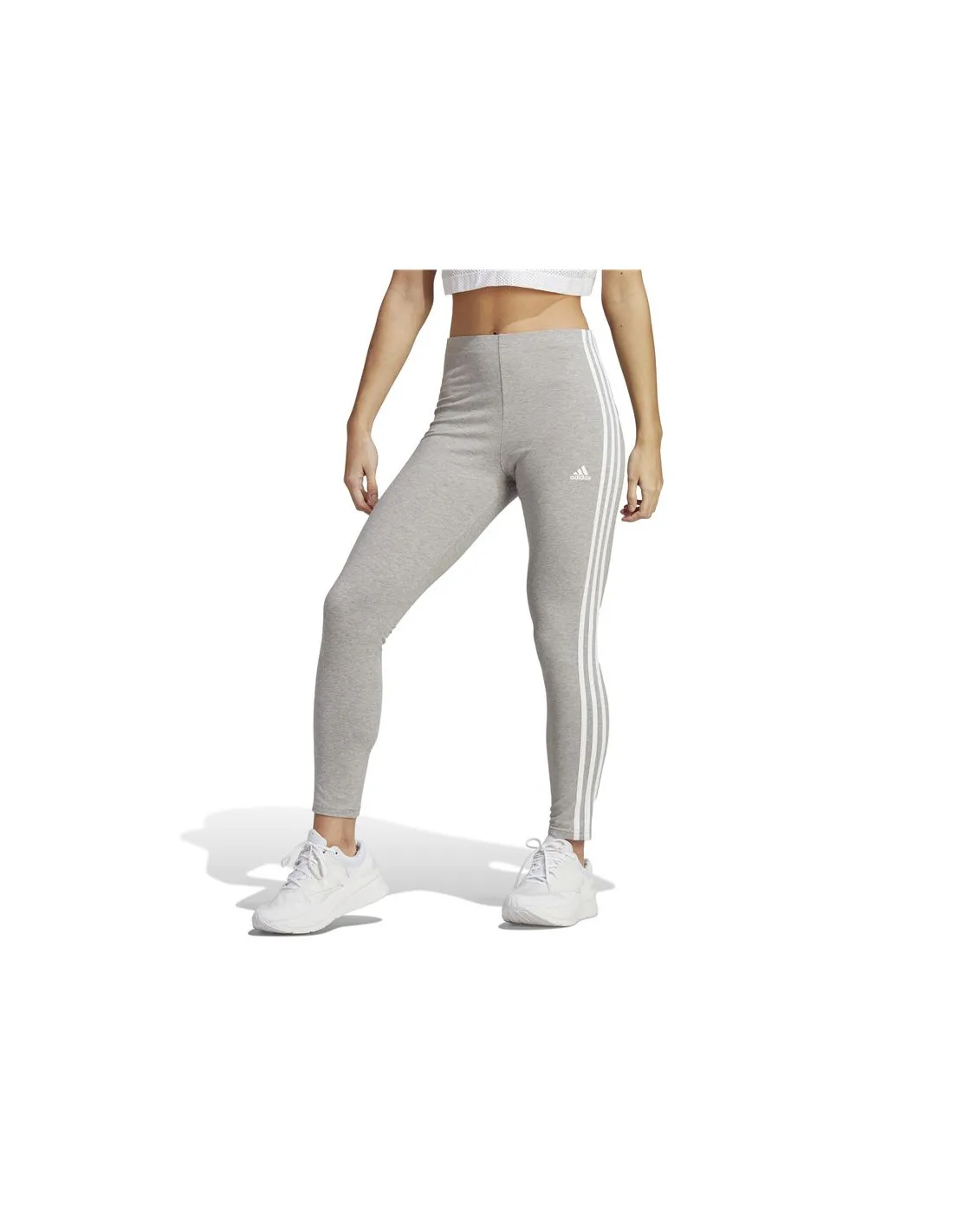 Leggings adidas 3S Hw Lg Femmes