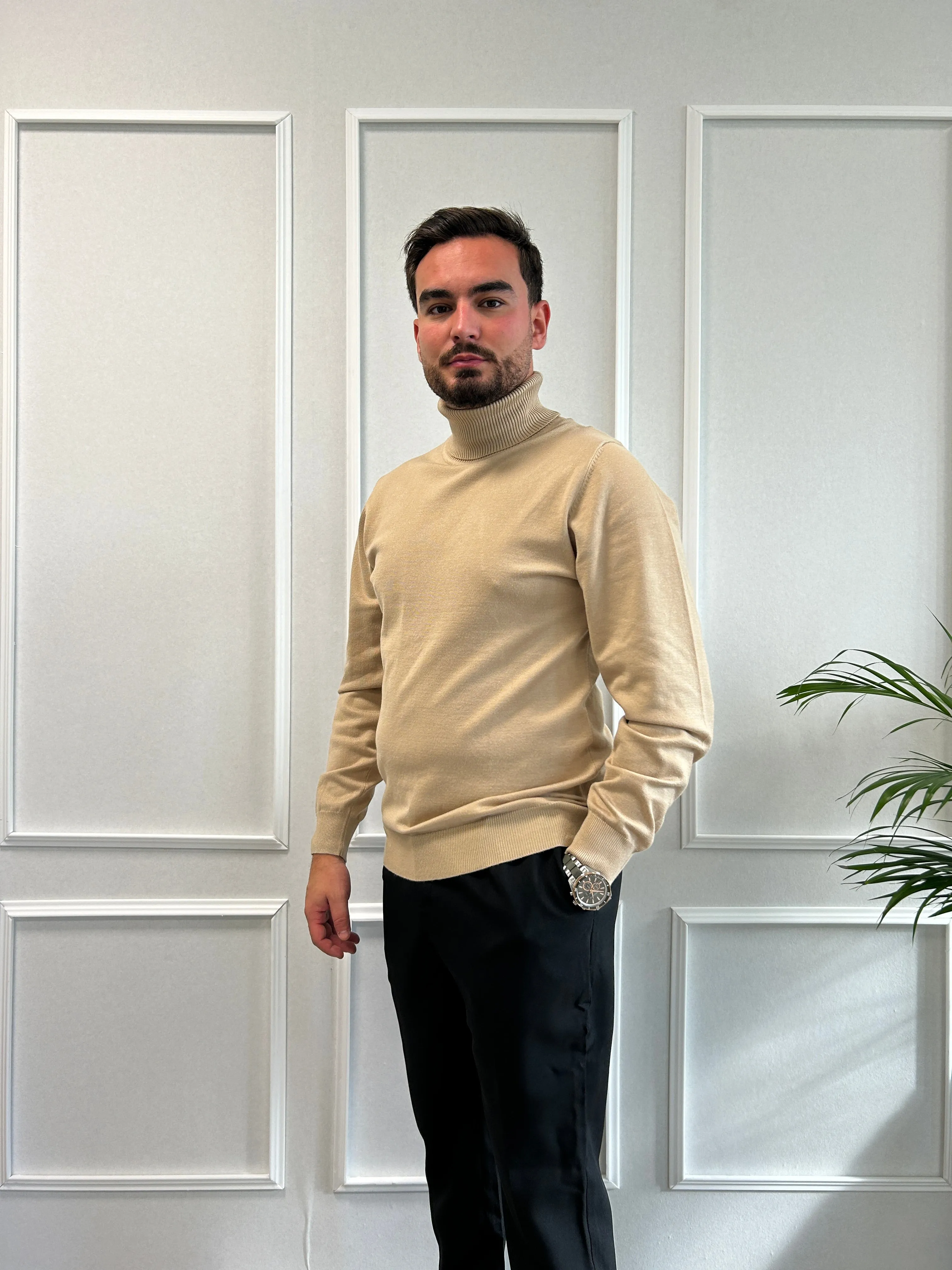 Pull Col Roulé Beige