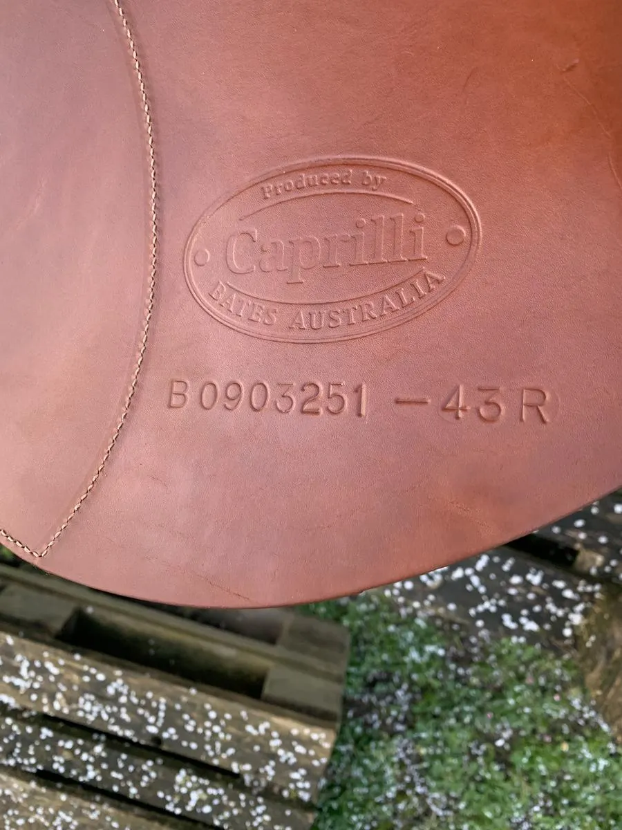 Selle Bates Caprilli