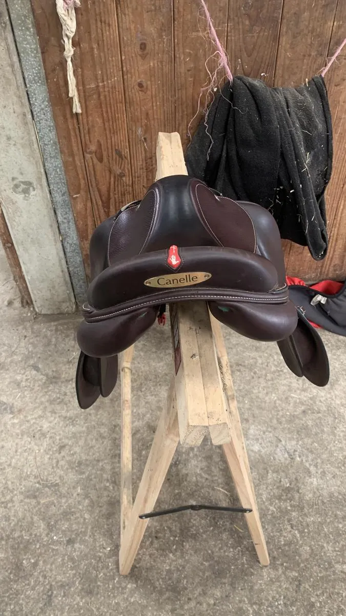 Selle équipe