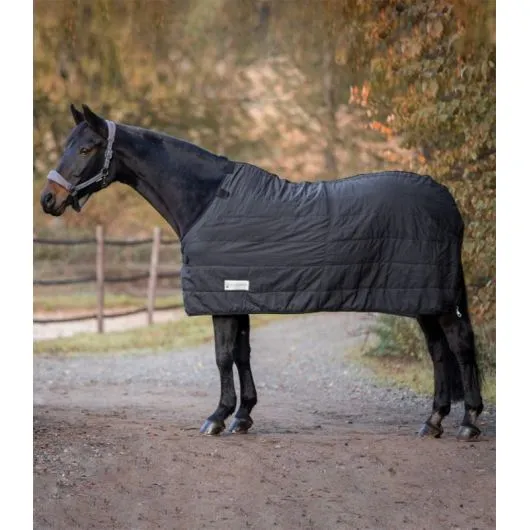 Sous couverture cheval anti-glisse Thermo Clip'in system 100g Waldhausen - Eque